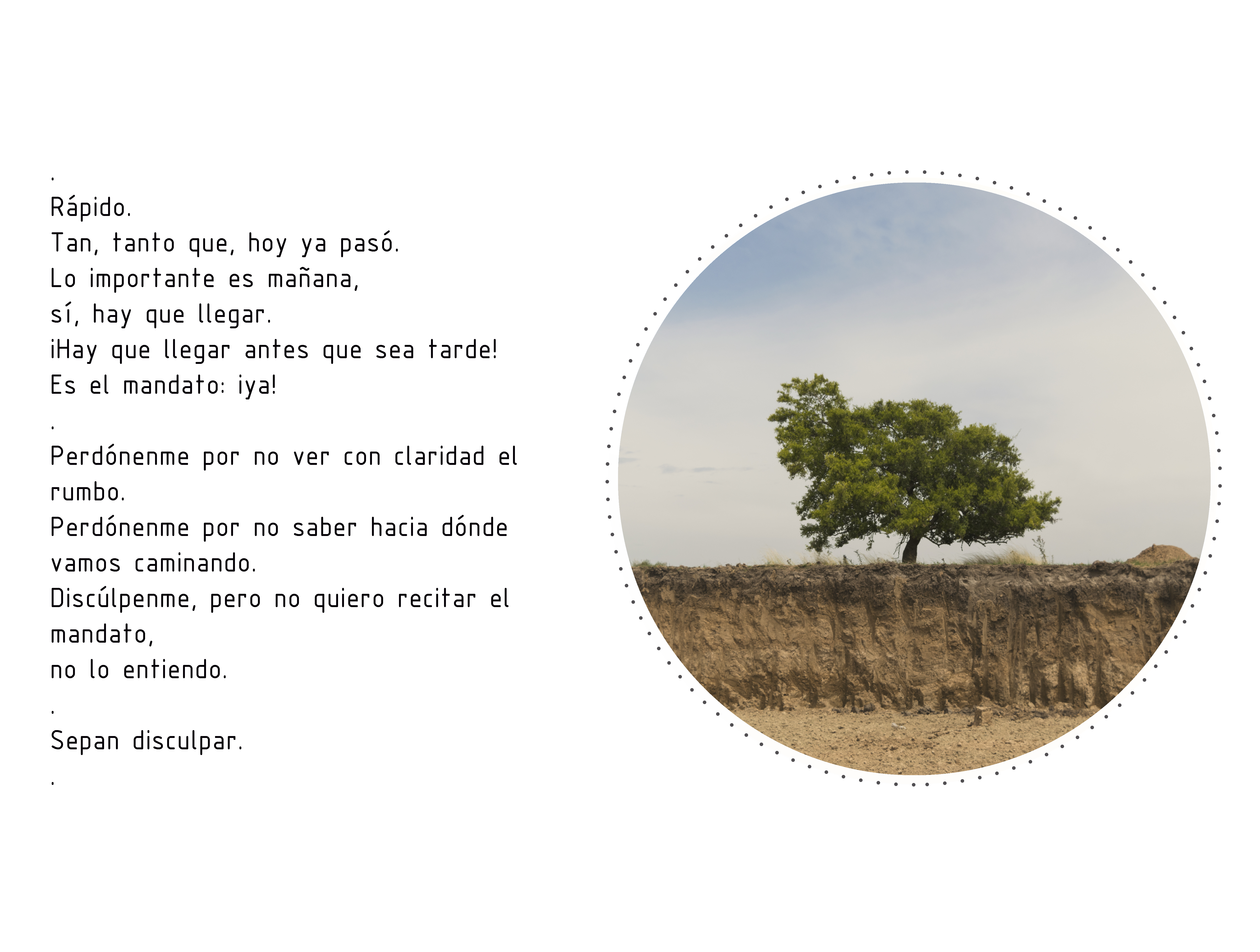 Poema rapido
